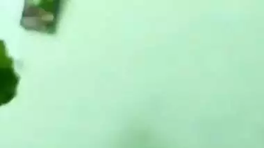 Tamil wife in saree getting her nude pussy exposed